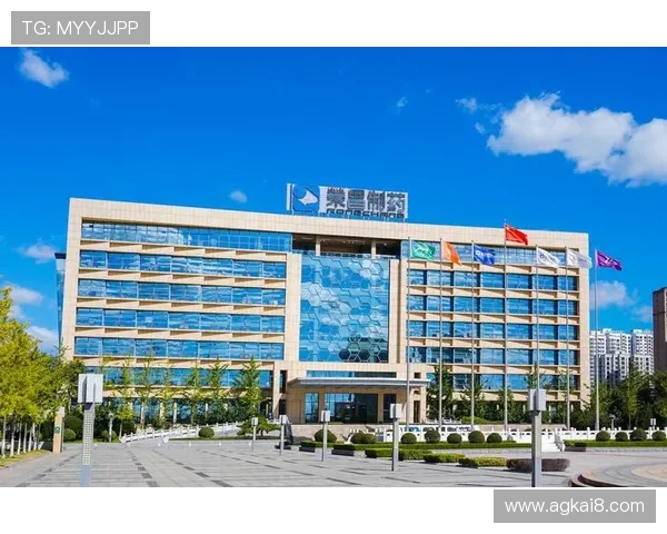 凯发集团网页版登录入口常见问题及快速解决方法指南